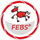 febs logo
